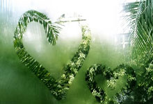 沃特福德惨遭曼联大胜,失去比赛节奏