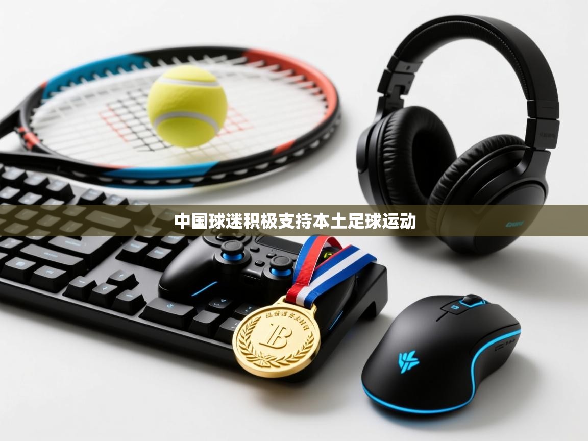 中国球迷积极支持本土足球运动